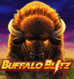 buffalo blitz cmd368